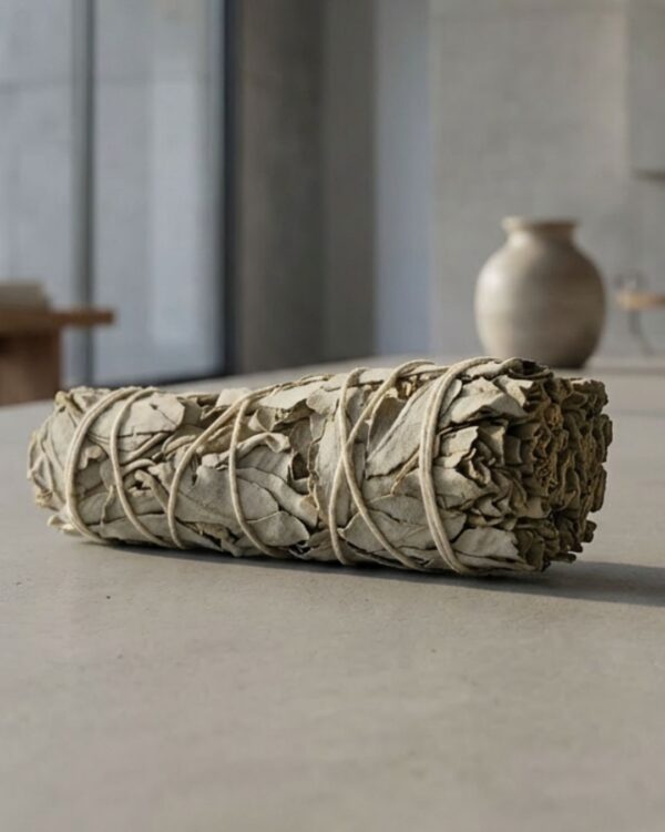 מרווה לבנה לטיהור