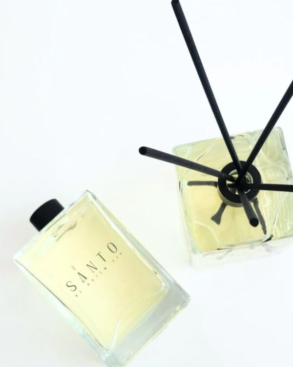 Bellhops in the doorway smiling, portrait stock photo