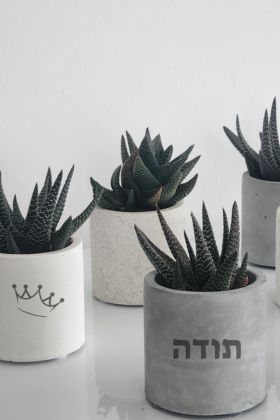 מתנות סוף שנה קטגוריה